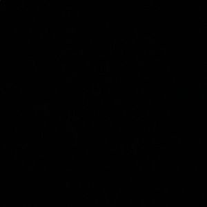 Meet your Posher, Rianna